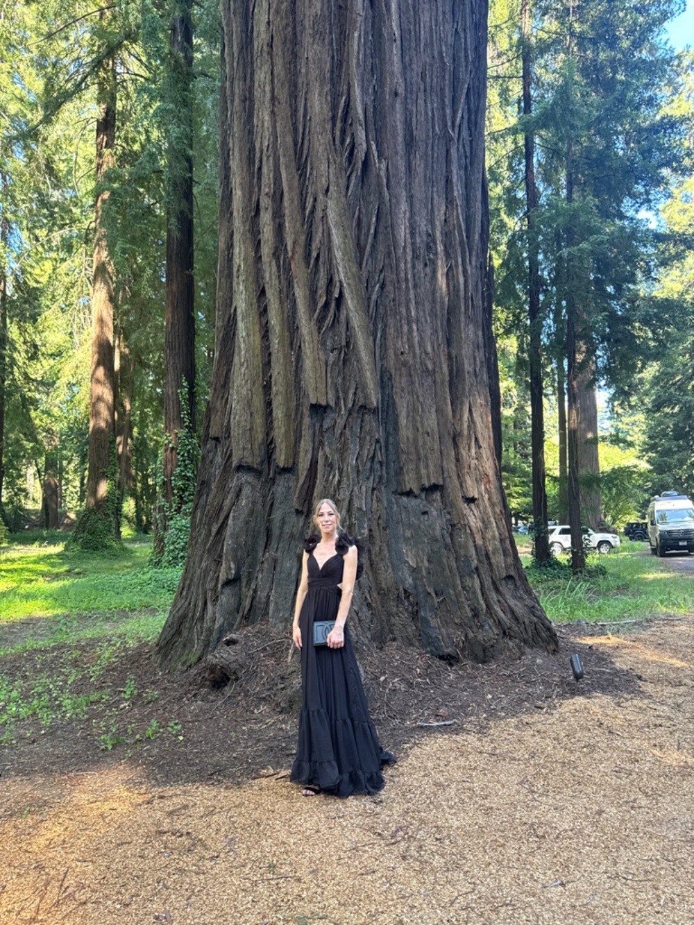 Mac Duggal Black Ruffle Sleeve Maxi Dress - Picture 5 of 6